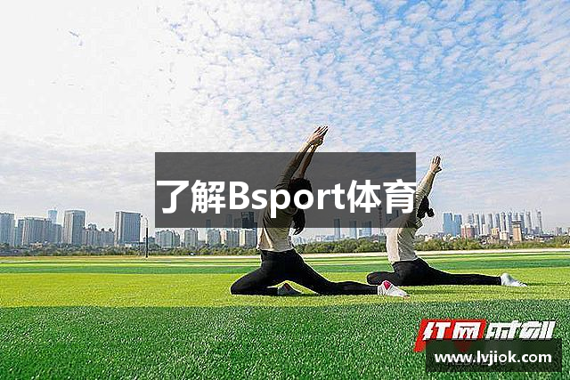 了解Bsport体育